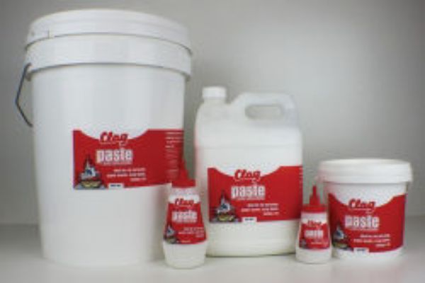 Picture of GLUE CLAG 150GM PASTE